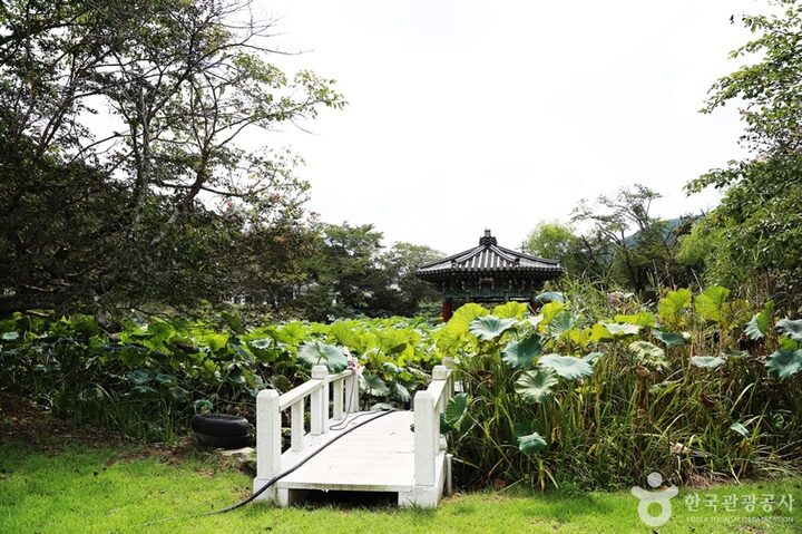 경남_진주_용호정원 (4)