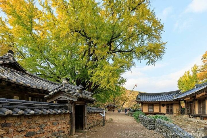 경주_경주 유연정 (3)