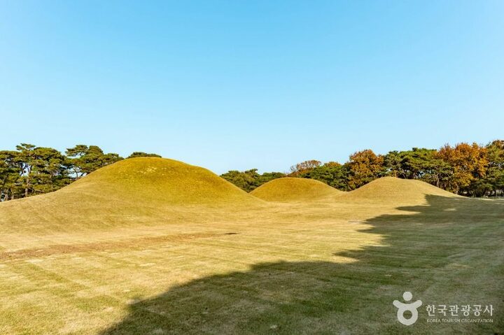 경주_경주 오릉 (3)
