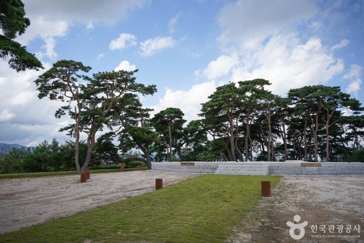 경북_경주_경주 나정 (6)