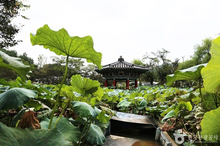 경남_진주_용호정원 (5)