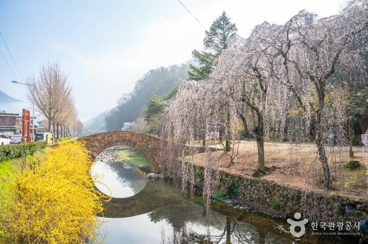 창녕_만년교 (2)