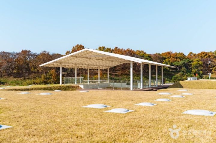경주_경주 인왕동 사지 (3)