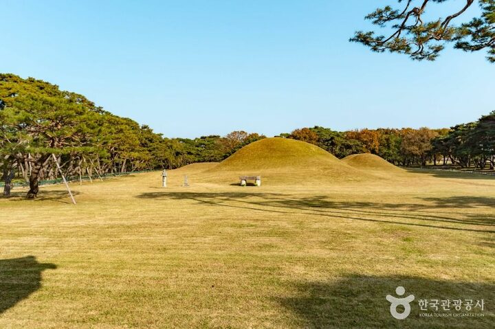 경주_경주 오릉 (4)