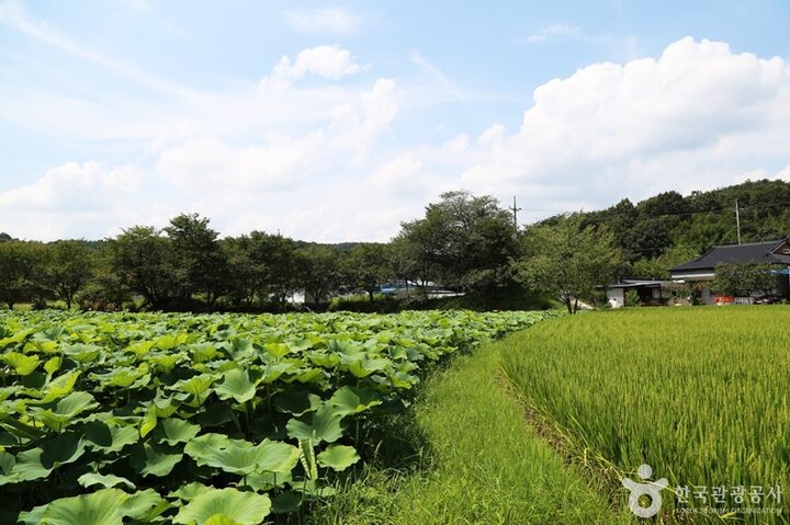 경남_진주_용호정원 (6)