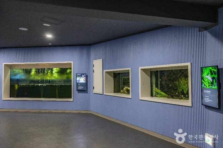 부산_부산해양자연사박물관 (30)