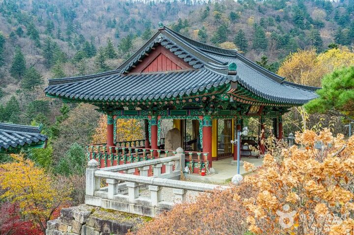평창_상원사 동종 (1)