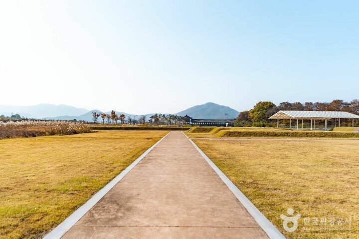경주_경주 인왕동 사지 (1)