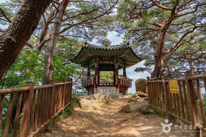 양양_하조대 (7)
