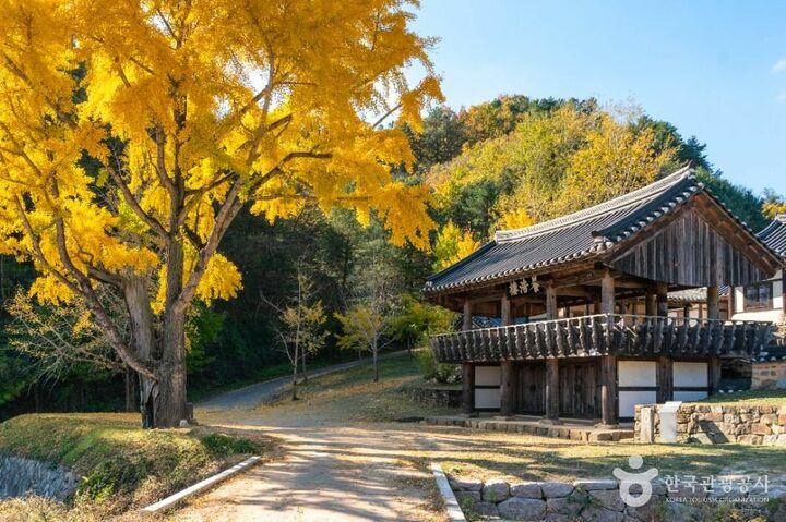 안동_예안향교 (4)