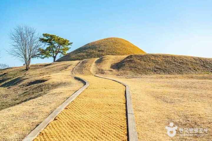 함안_아라가야 고분군 (4).jpg