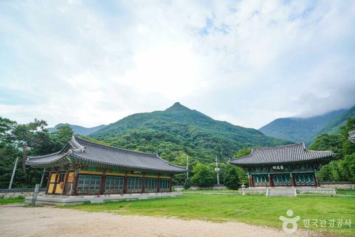 표충서원 (7)