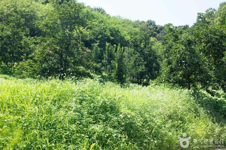 경북_상주_상주 금흔리 이부곡 토성 (2)