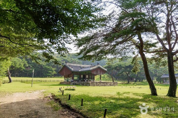 고양_고양 서오릉[유네스코 세계유산] (3)