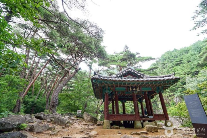 농산정 (2)