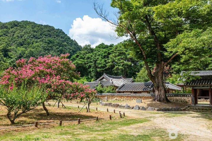 성주_회연서원 (7)