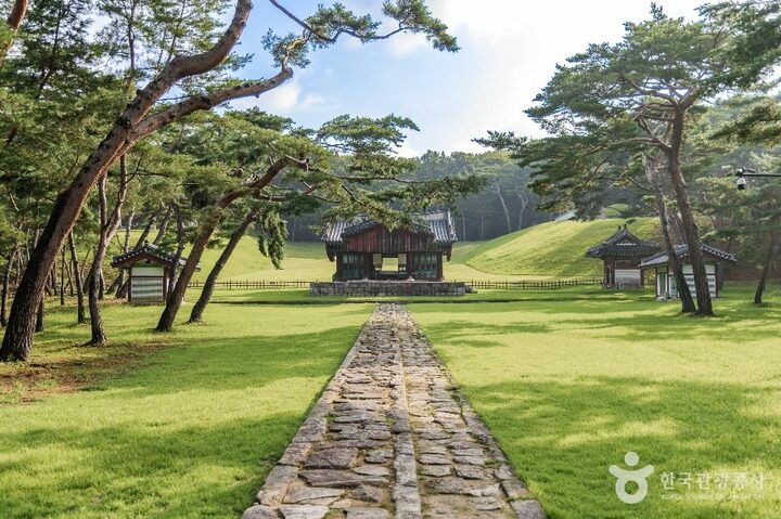 고양_고양 서오릉[유네스코 세계유산] (5)