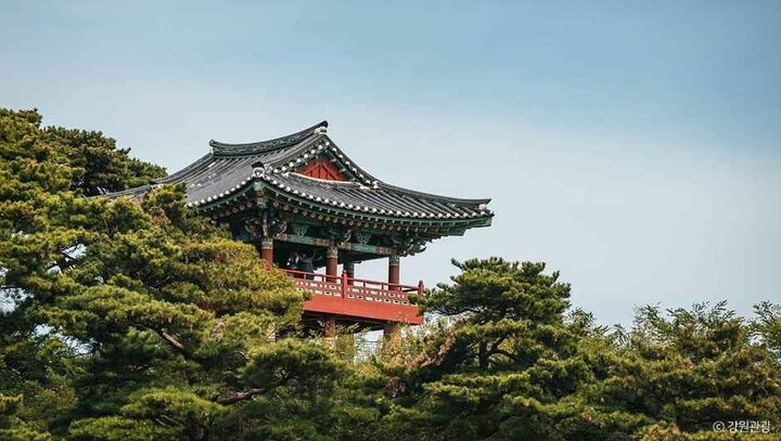 고성_청간정 (1).jpg