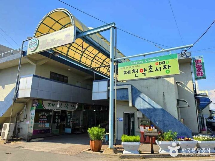 제천약초시장