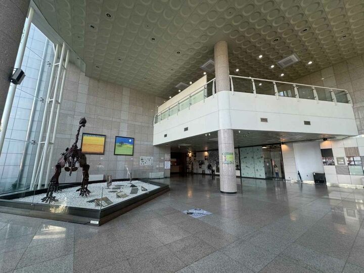 전남대학교박물관