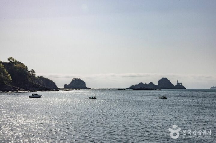 부산_오륙도 (부산 국가지질공원) (4)