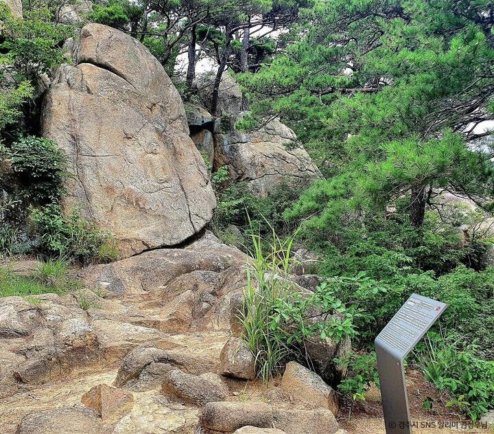 경주_경주 남산 용장사지 마애여래좌상 (4)