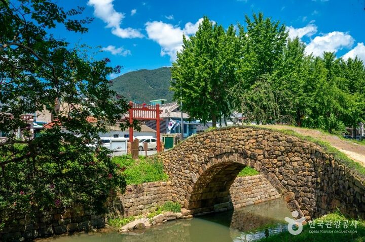 창녕_만년교 (3)