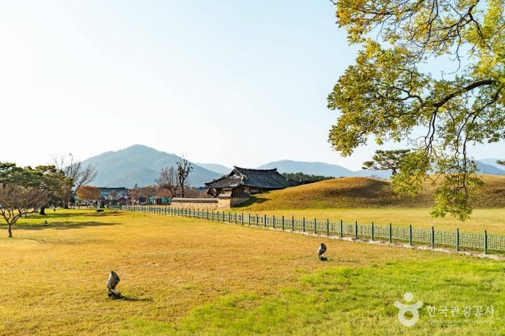 경주_경주 동부 사적지대 (3)