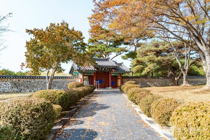 경주_경주 신문왕릉 (1)