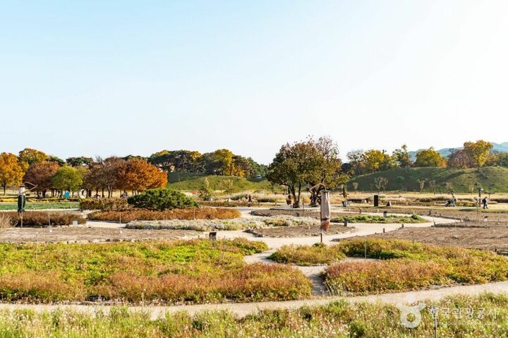 경주_경주 동부 사적지대 (4)
