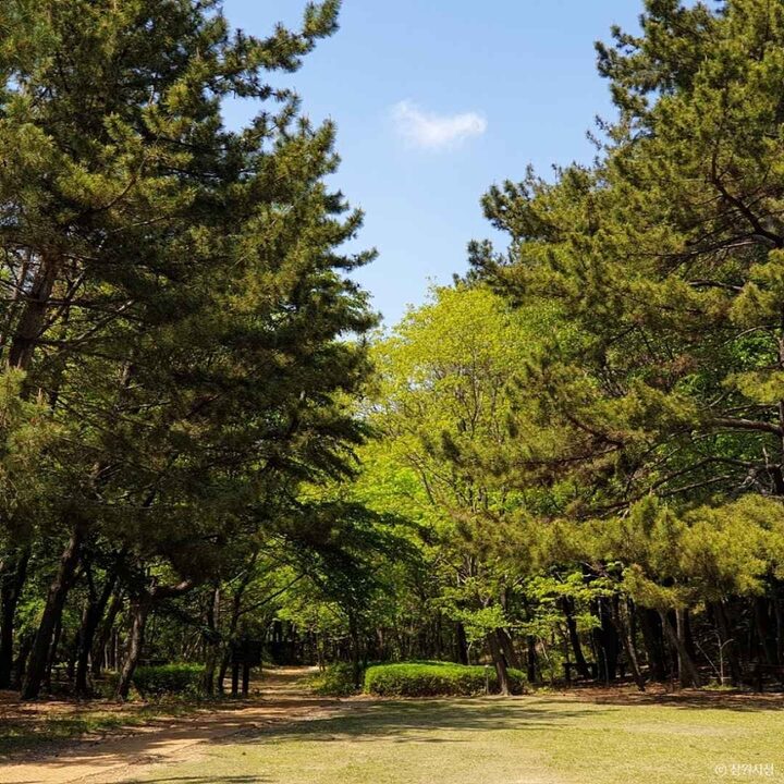 창원_봉암수원지 (10)