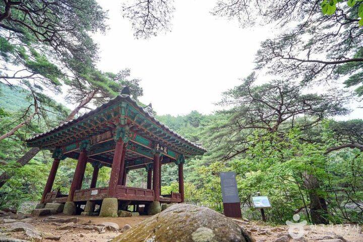 농산정 (5)