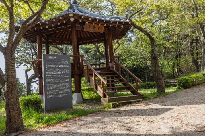 부산_신선대(부산) (1)