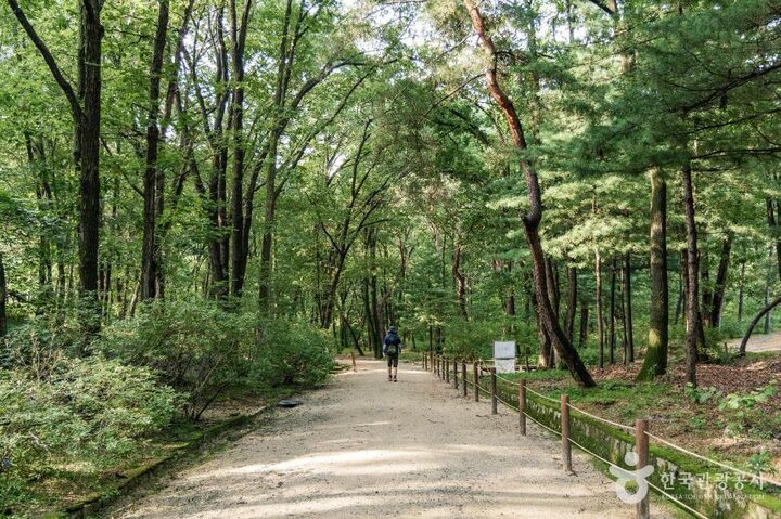 고양_고양 서오릉[유네스코 세계유산] (8)