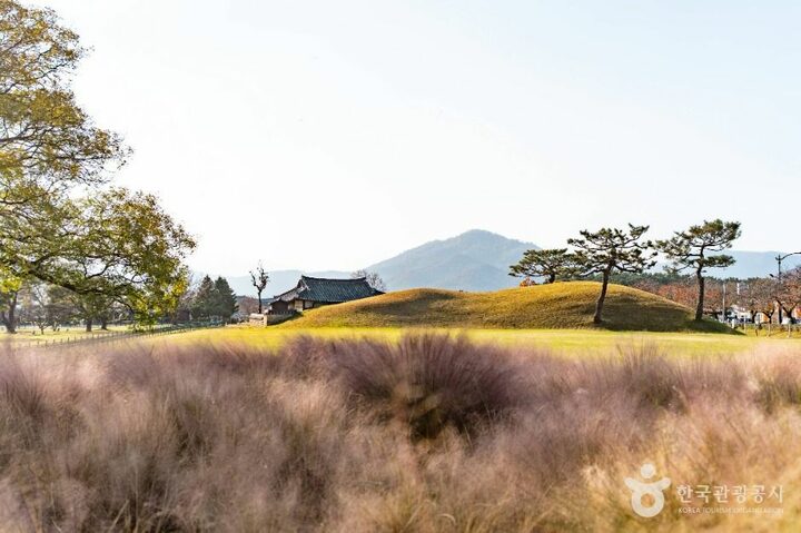 경주_경주 동부 사적지대 (5)