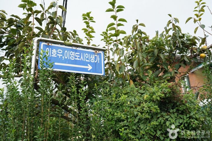 청도 이호우와 이영도 생가 (1)
