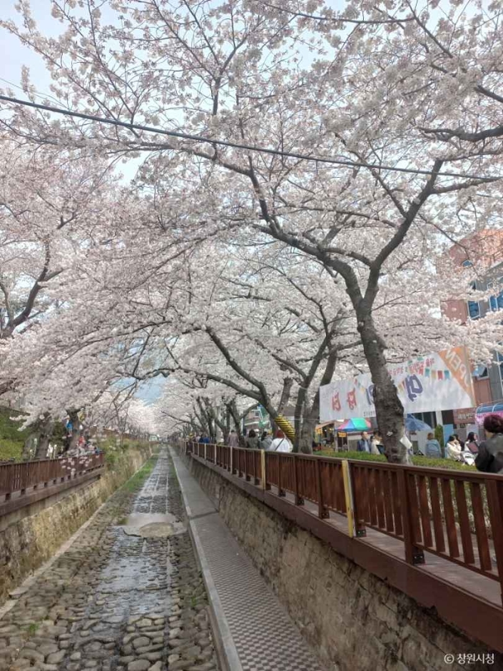 창원_봉암수원지 (11)