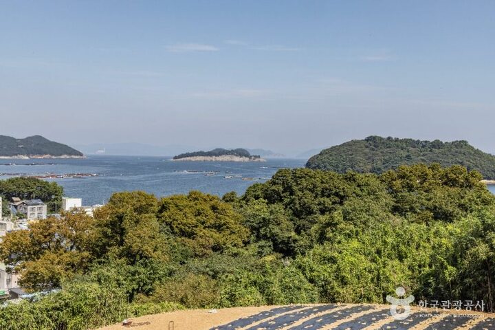 남해_남해 미조리 상록수림 (3)