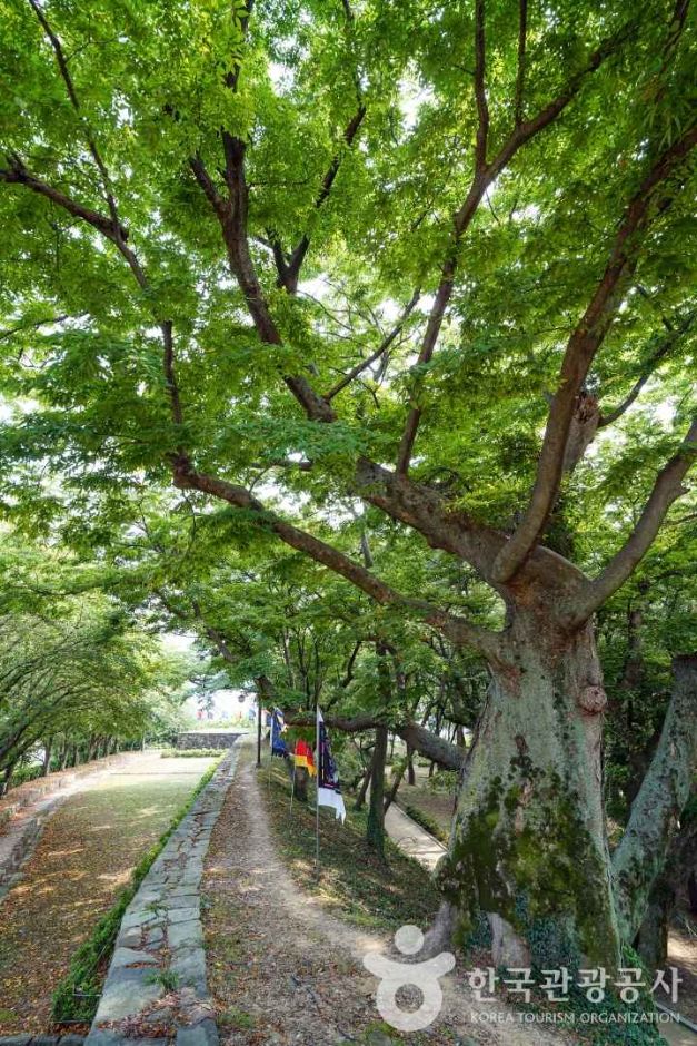 사천읍성 (5)