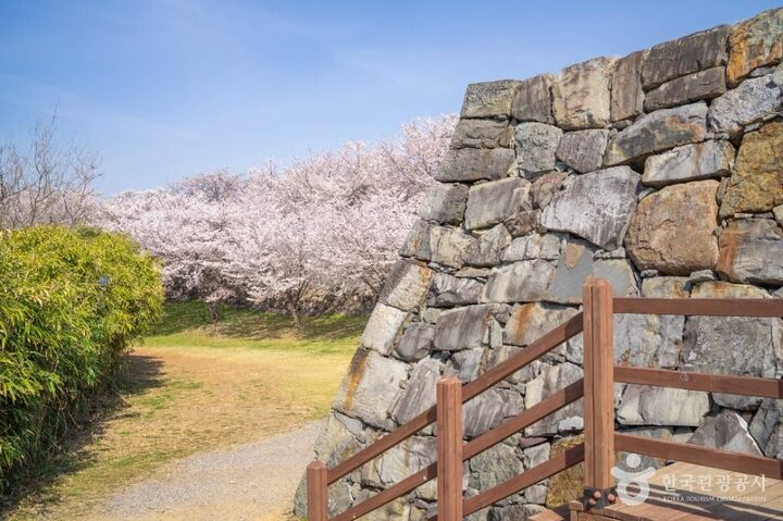 사천_사천선진리성 (4)