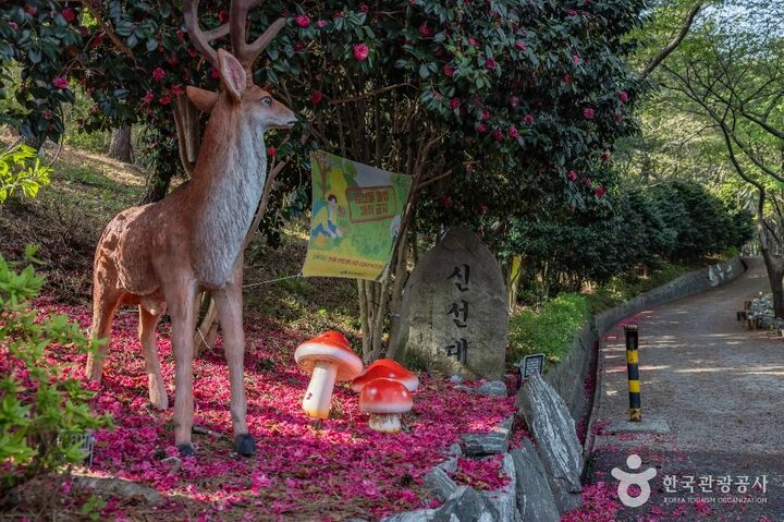 부산_신선대(부산) (4)