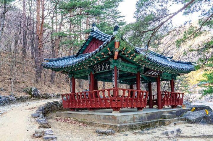 동해_금란정 (2)