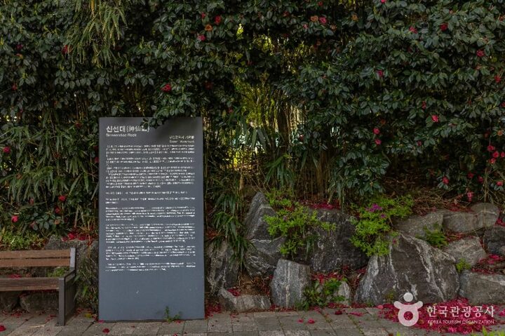 부산_신선대(부산) (5)