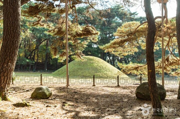 경주_경주 경애왕릉 (1)