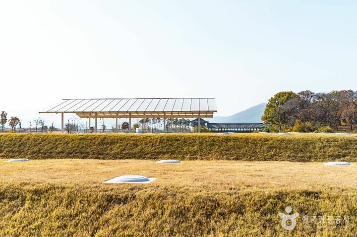 경주_경주 인왕동 사지 (5)