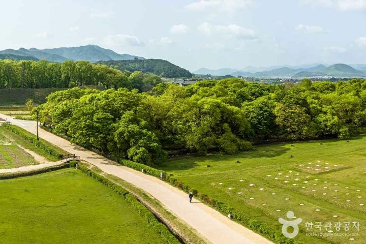 경주 계림 (3)