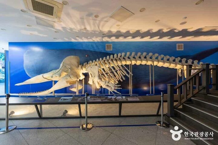 인천_강화자연사박물관 (1).jpg