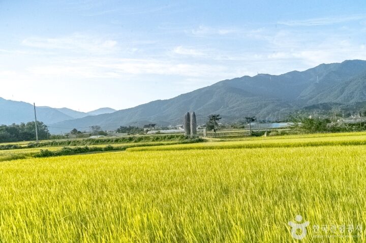 강릉 굴산사지 (11)