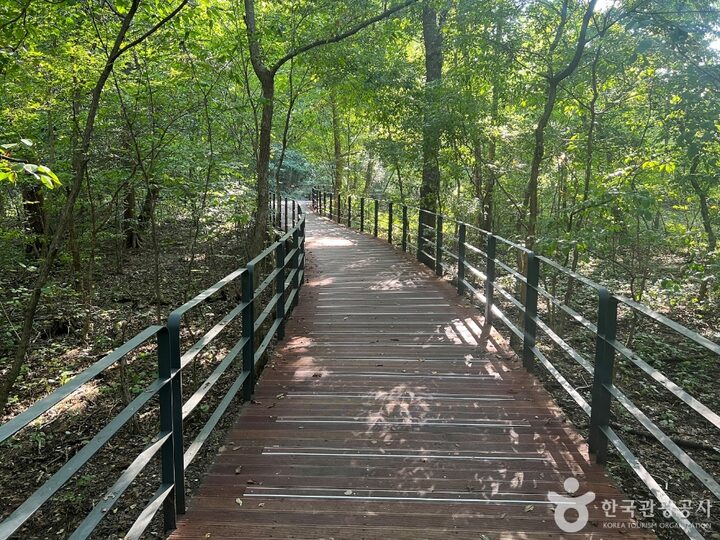 국립수목원 산림박물관_3