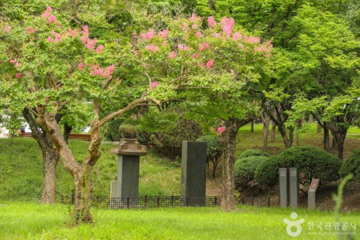 대구부수성비 (2)